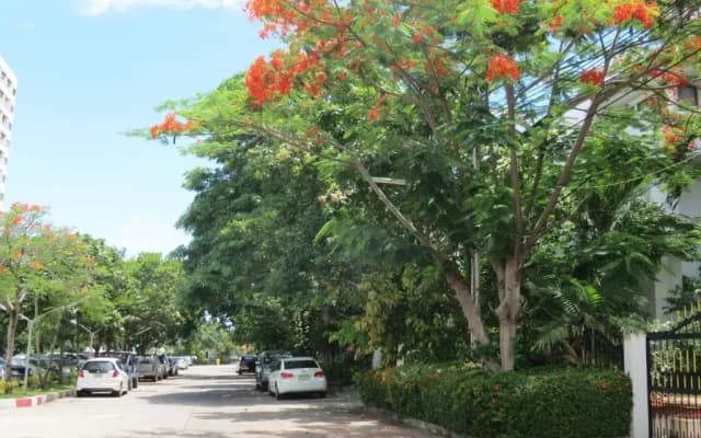View Talay 1B Residence - photo 3