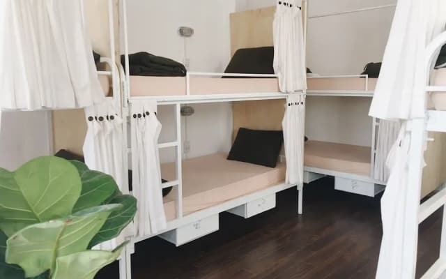 Starry Night Hostel - photo 2