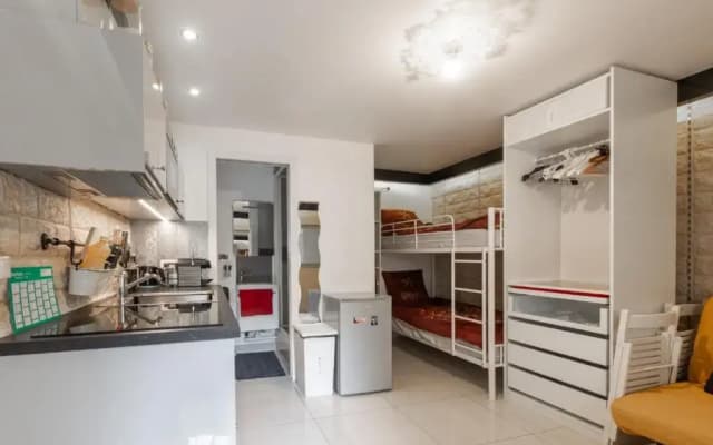 Studio a Paris et désinfection rigoureux du logis - photo 3