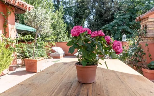 Villa Blanc House - photo 4