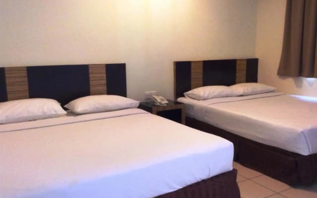 Hotel Traveller - photo 3