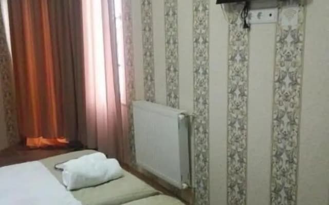 Hotel Petre Palace - photo 5