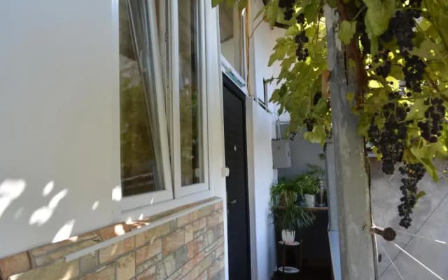 Nana's Apartment - photo 5