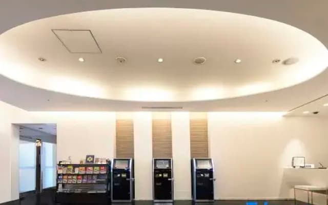 Hotel Oriental Express Ginza West - photo 2