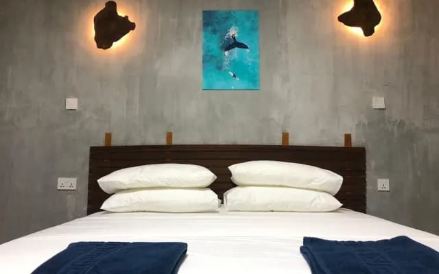 Dive and Sleep - All Inclusive Diving Guesthouse - 3 Dives per day - photo 3