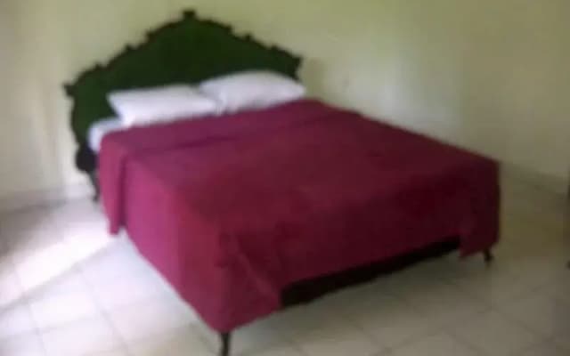 Puri Sari Cottage - photo 4