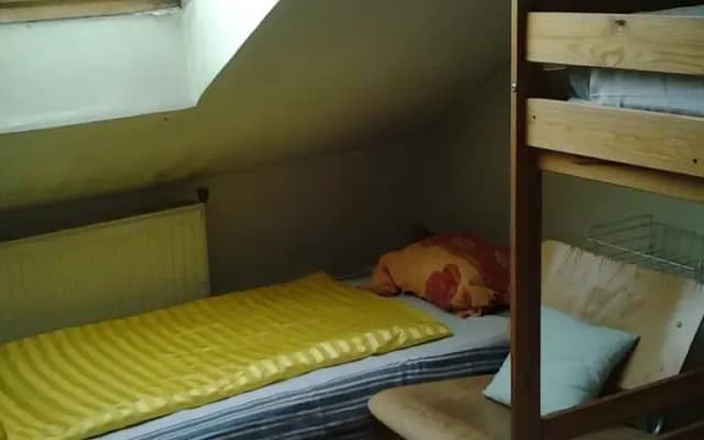 Apricot Hostel - photo 3