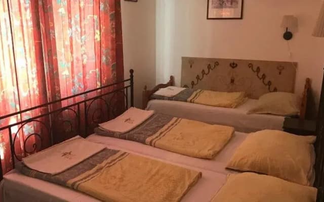 Kis Gellert Guesthouse - photo 4