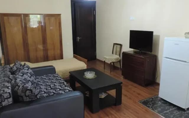 Guest House Dolidze - photo 4