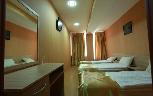 Arena Hotel - photo 5