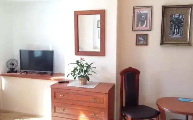 Pension Karlova - photo 2