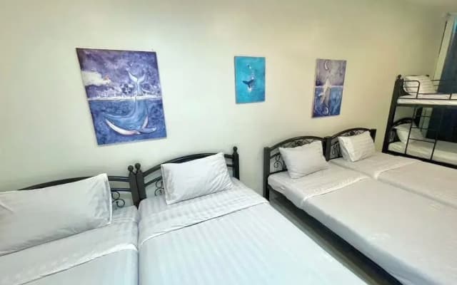 PJ Hostel & Bar - photo 4