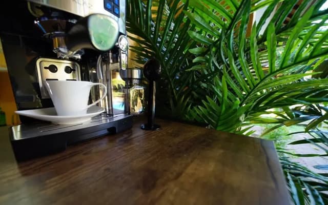 Mangga Bungalow - photo 2