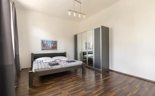 Spacious Apartment in Center with Terrace - photo 4