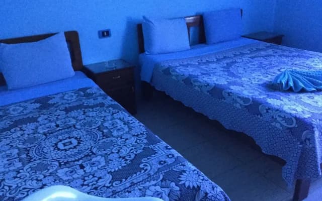 Hostel Luna - photo 3
