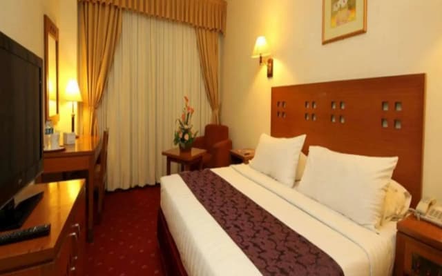 Hotel Maharani - photo 4