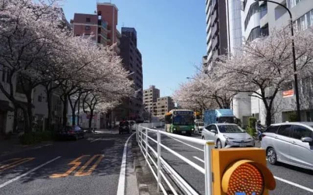 Real Life HIROO - photo 4