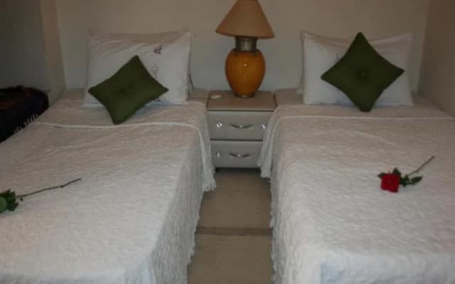 Riad Alghani - photo 4