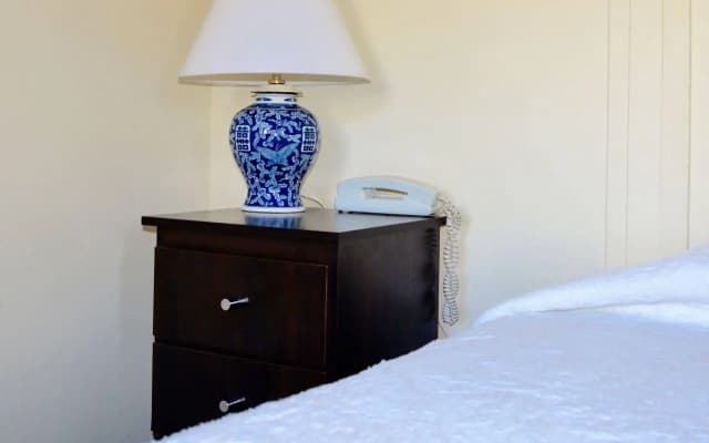 Richmond Hill Hotel - photo 4
