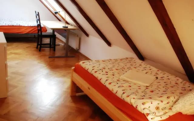 Generous Attic Apartment - photo 2