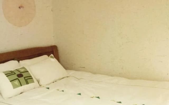 Lydia Craft Guesthouse - photo 4