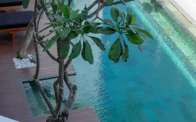 Dip & Doze Boutique Hostel - photo 5