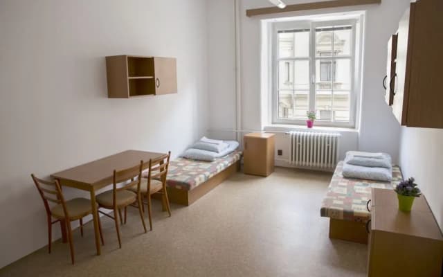 Dizzy Daisy Hostel - photo 2