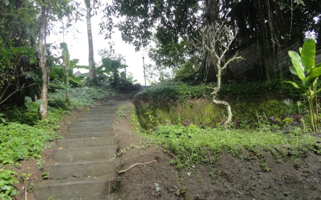 Uma Bian Guest House Ubud - photo 3