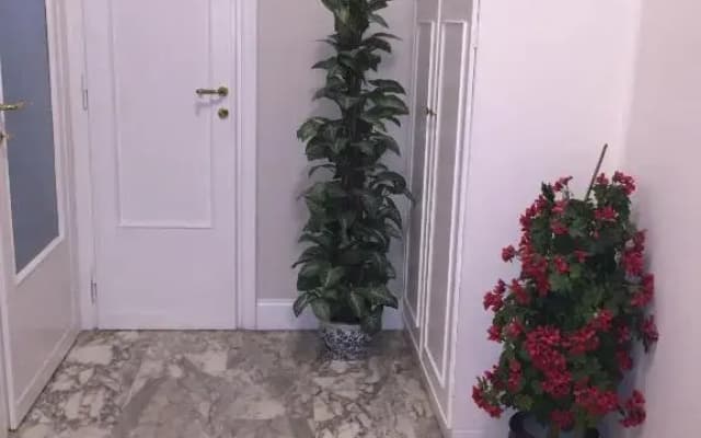 Aurora Guest House - photo 4