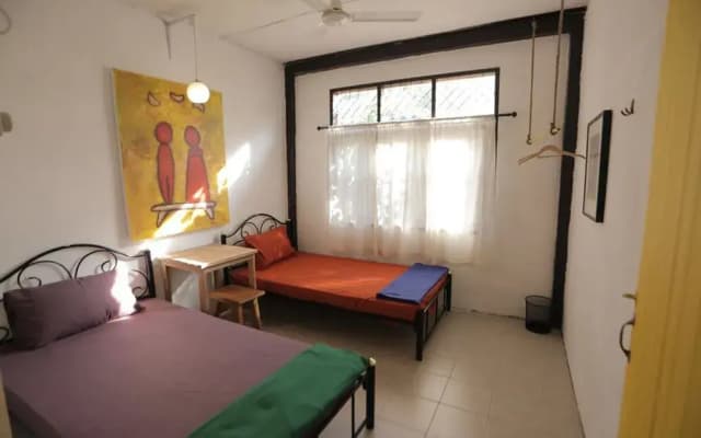 Maroom Art Hostel - photo 2