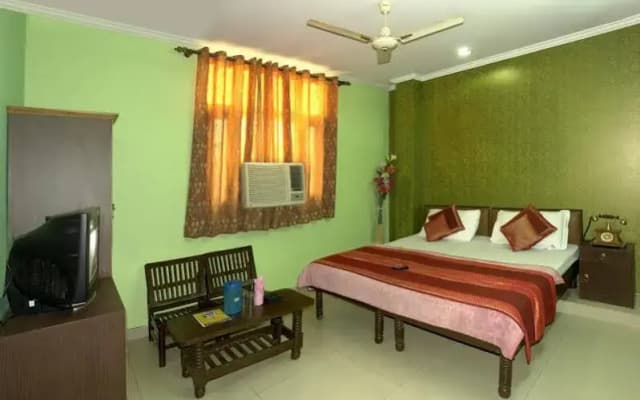 Hotel Pal Palace - photo 4