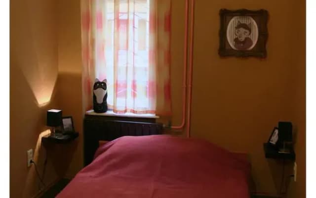 Cat and Co Guesthouse - photo 5