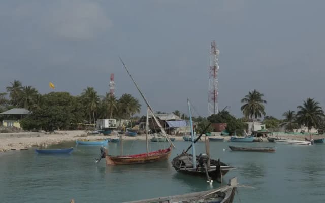 Ungoofaaru Inn - photo 5