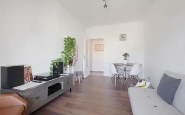 Eufonia Vinyl Friendly Apartment - photo 3