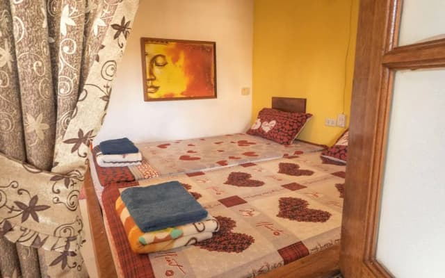 Dancing Elephant Beach Club - Hostel - photo 4