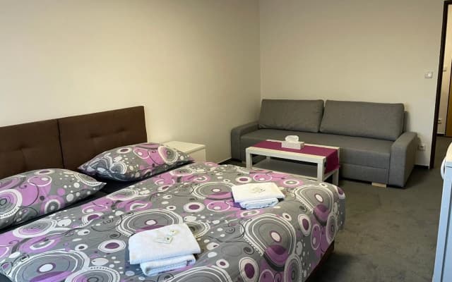 Pension Hajek - photo 3