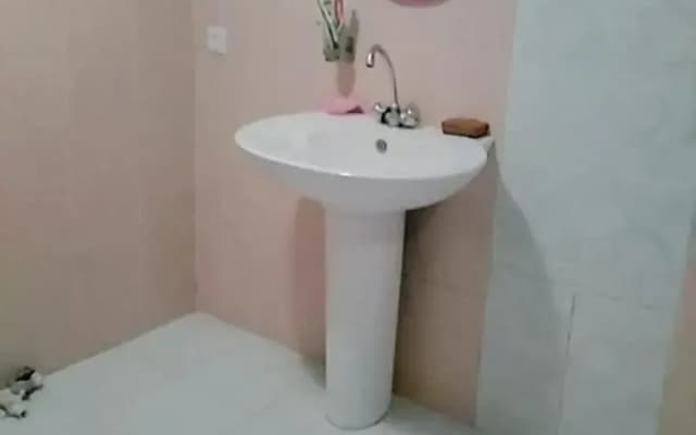 House Borjomi - photo 2