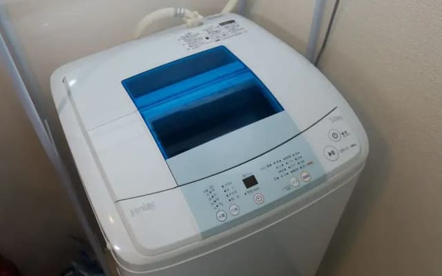 Gojo umeka - photo 4