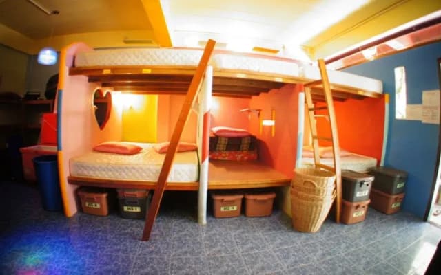 Dancing Elephant N 1 Party Hostel - photo 2