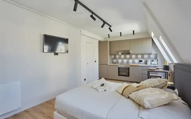 Sublim Studio Beaubourg/le Marais - photo 4