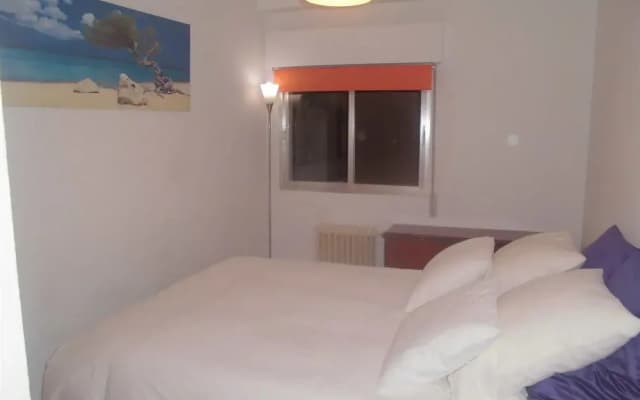 Olmo - photo 4