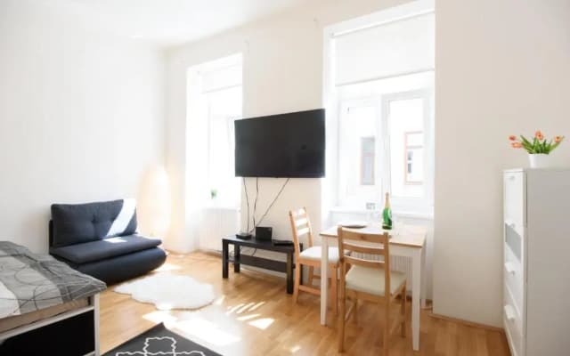 Vienna City Apartment Erlachgasse - photo 2