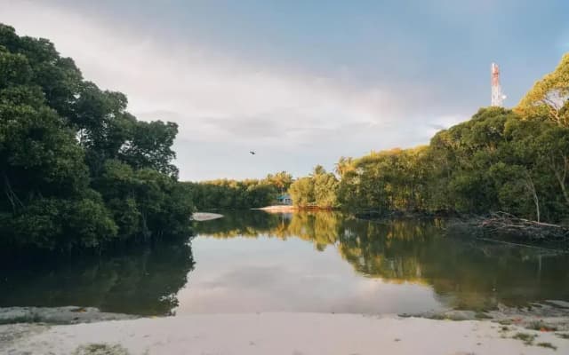 The Bilimbi Guesthouse and Inn - photo 2