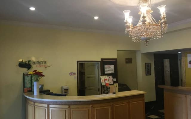 OYO Capital O 89695 Planters Hotel - photo 2