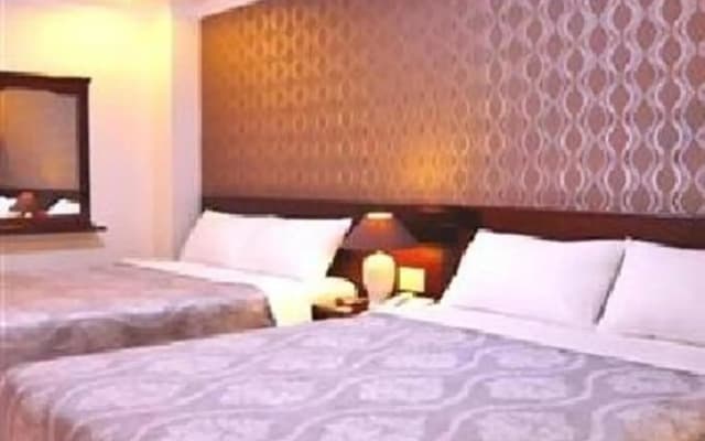 Nice Swan Hotel - photo 2