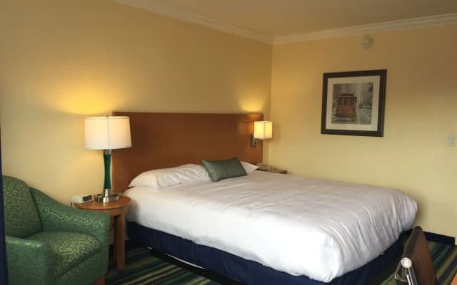 Surf Motel - photo 5