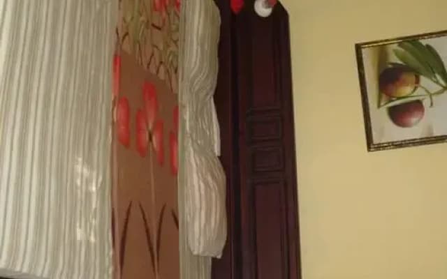 Sudana Homestay - photo 2