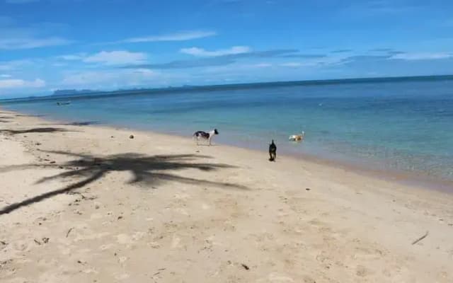 Bungalow Samui Ocean View - photo 4