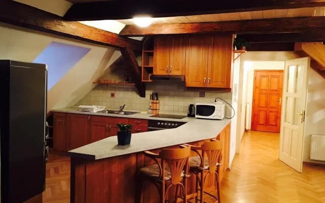 Charles Bridge Apartments - photo 3