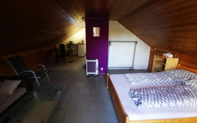 Apartments Zbraslav - photo 3